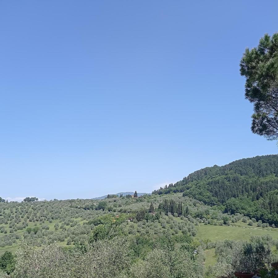 Apartmán La Guelfa 64 Pontassieve Exteriér fotografie